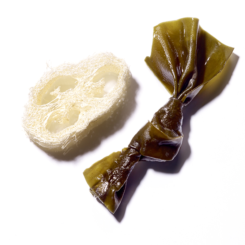 Active Ingredients
